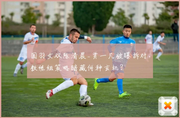 国羽女双陈清晨_贾一凡被曝拆对，教练组策略暗藏何种玄机？